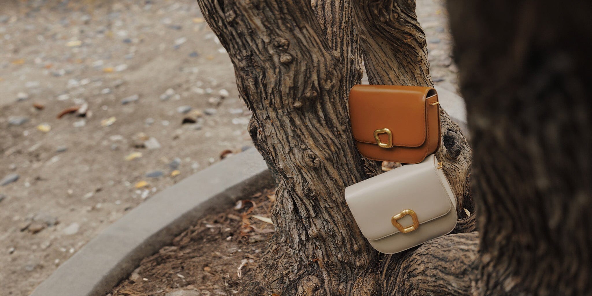 Meet the Reset Collection