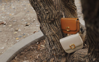 Meet the Reset Collection