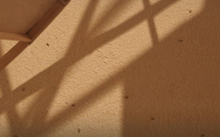 Seedwall