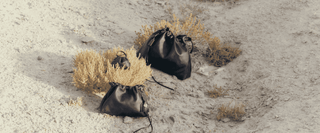 Songmont Gather Drawstring Bags