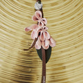Osmanthus Charm Songmont 
