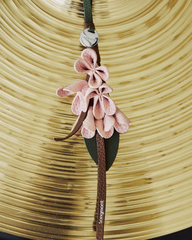 Osmanthus Charm Songmont 