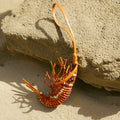 Bouncing Shrimp Charm（Golden Pine Club） Songmont 