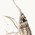 Bouncing Shrimp Charm（Golden Pine Club） Songmont 