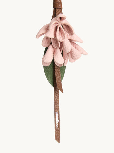Osmanthus Charm Songmont Rouge Pink 