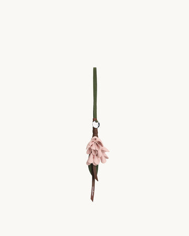 Osmanthus Charm Songmont 