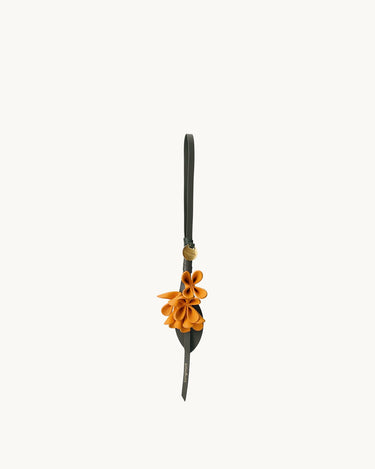 Osmanthus Charm Songmont 