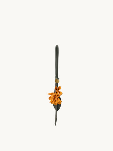 Osmanthus Charm Songmont 