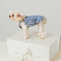 Small dog in denim jacket standing on Songmont gift box with ribbon