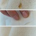 Small Shan Satchel Bag canvas demonstrating water-resistant properties with liquid droplets beading up and being wiped away.