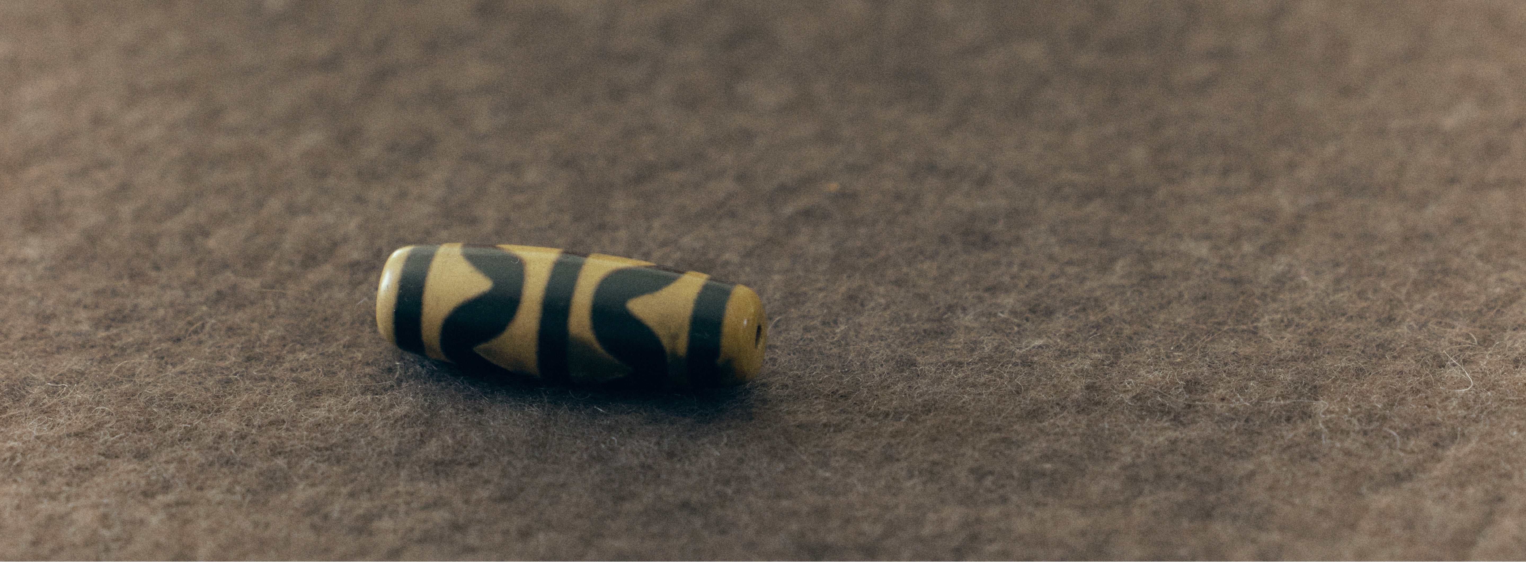 Striped caterpillar on a brown textured background 